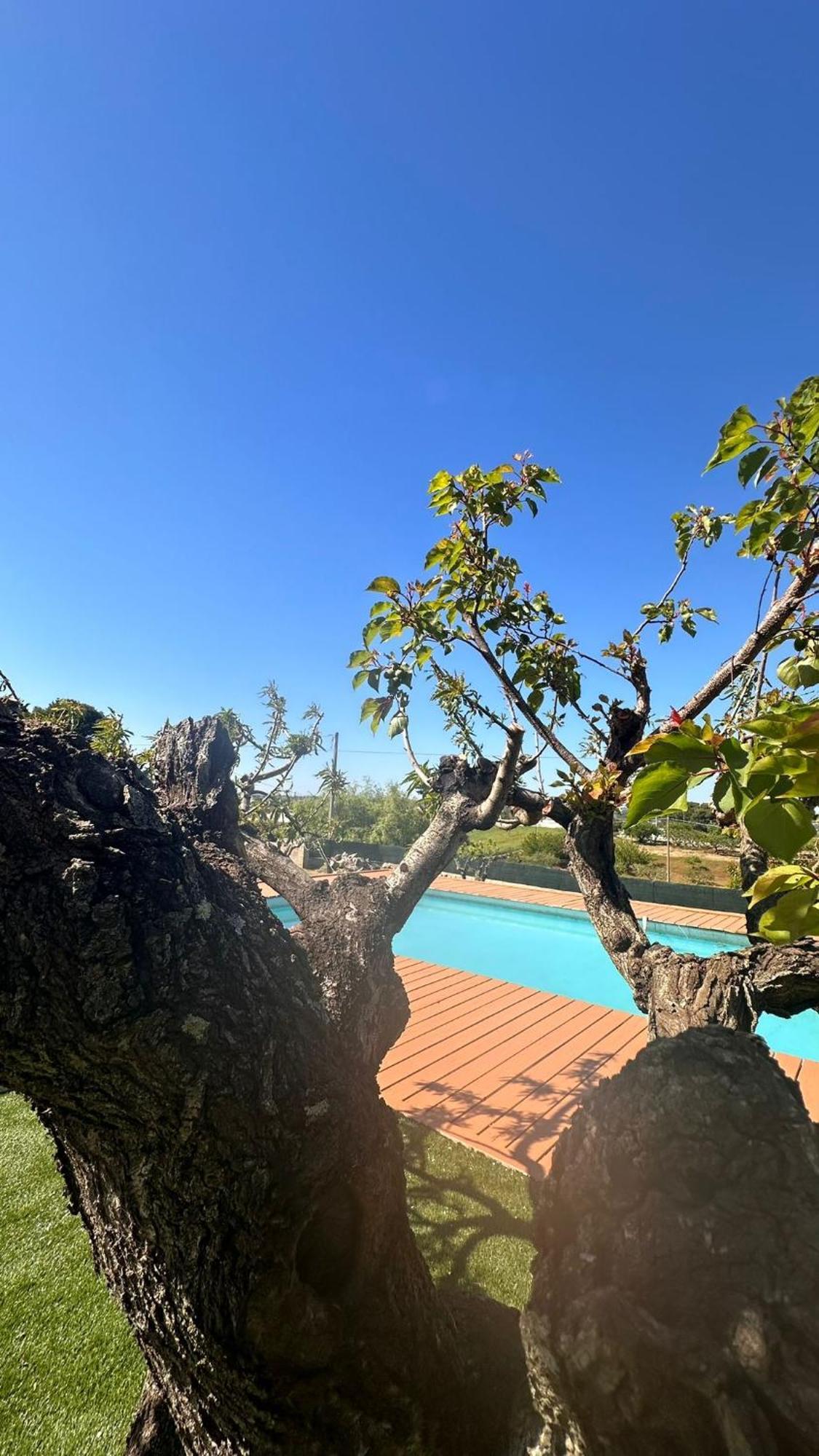 מרטינה פרנקה Relax In Valle מראה חיצוני תמונה